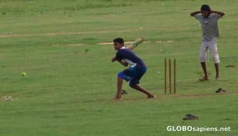 Postcard Playing Cricket Sri Lanka's favourite game