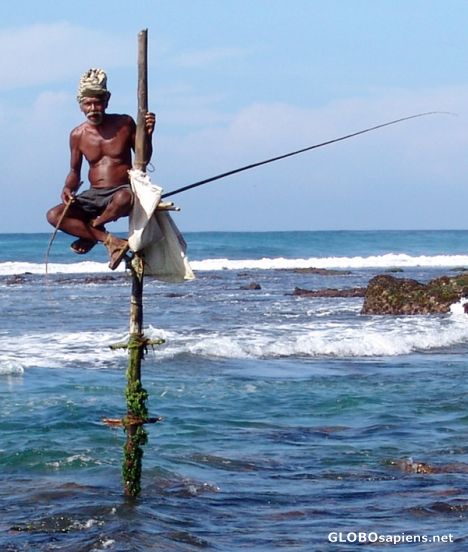 Postcard Stilt fisherman at Koggala