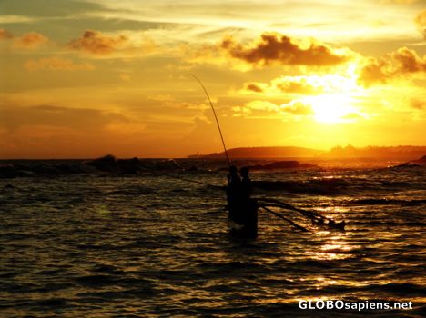 Postcard more sunset fishing