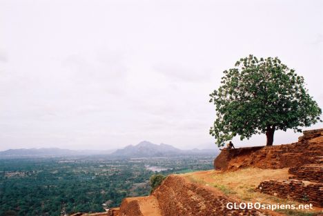Postcard Sigiriya - Taking in the View