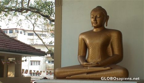 Postcard Buddha from Colombo