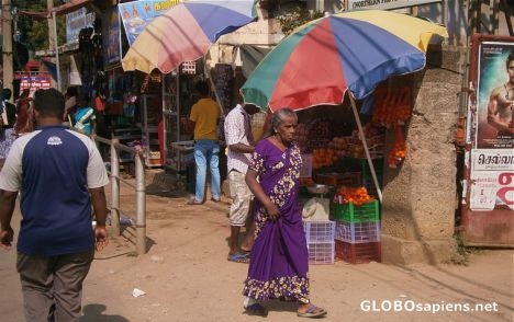 Postcard Jaffna market scene