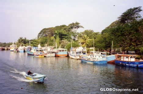 Postcard Negombo - Colourful Fishing Boats