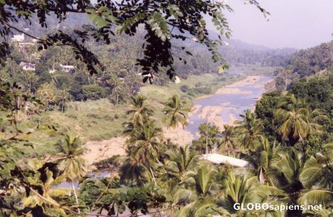 Postcard River View