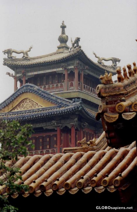 Postcard Roofs in the Forbidden City