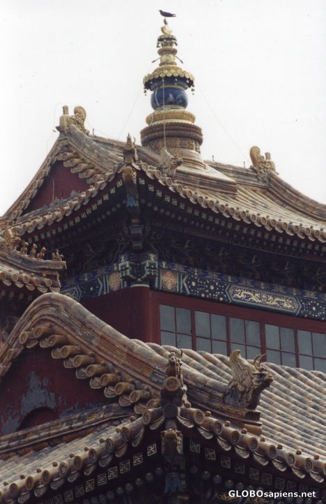 Postcard Roofs of Lama Temple