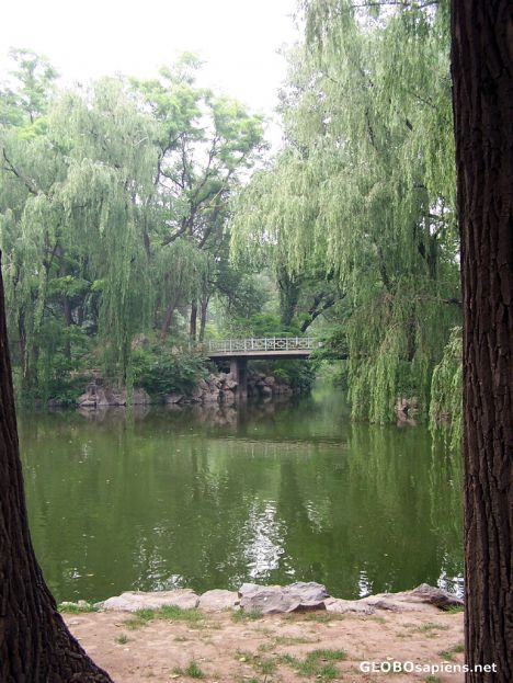 Postcard Serenity at the Beijing Zoo