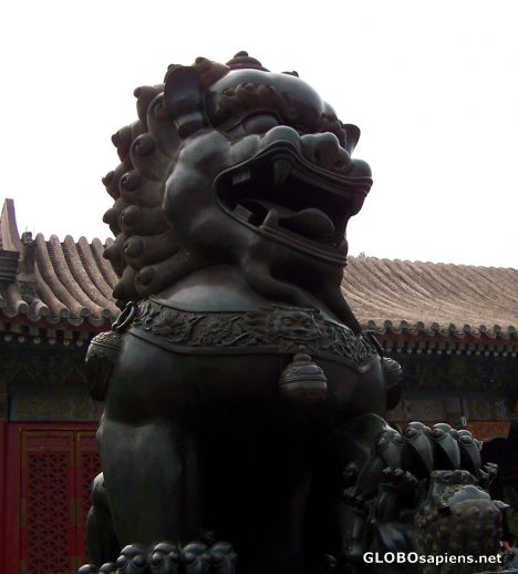 Postcard Lion protecting one of the gates/Forbidden City