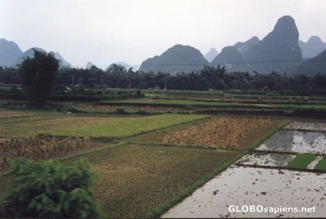 Postcard Scenery of Yangshuo region