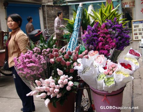 Postcard Flower Seller Guilin