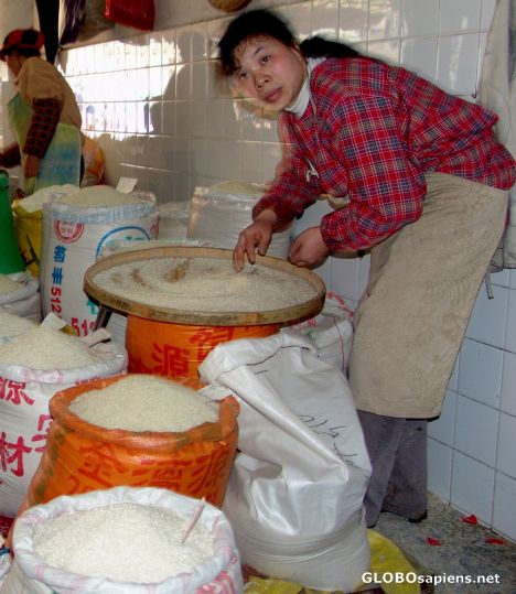 Postcard Rice Sales Guilin Market