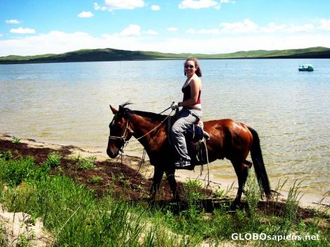Postcard Riding Horses in the Grasslands