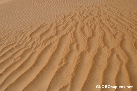 Postcard Pattern on a sand dune