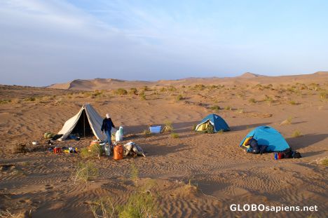 Postcard Desert camp