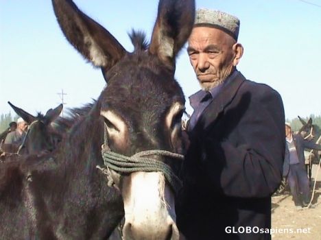 Postcard A man with donkey