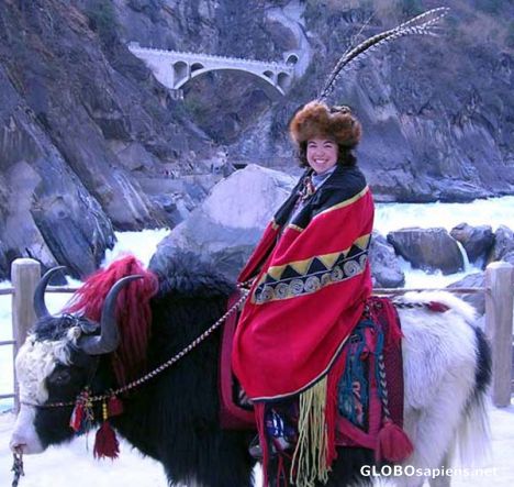 Postcard Riding a Yak with a Feather in My Hat