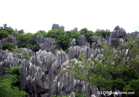 Postcard Stone forest Yunnan China