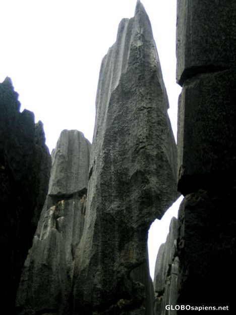 Postcard Stone forest