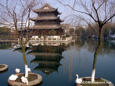 The Old Nanxun and odd ducks