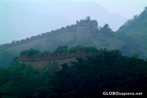 Postcard Mutianyu (CN) - totally wild Great Wall