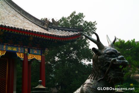 Postcard Beijing (CN) - Summer Palace - creature