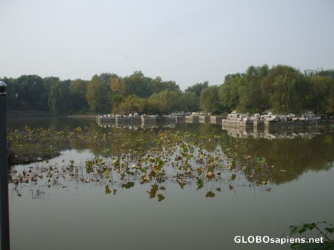 Postcard Reflectin Pool at Yuanming Park