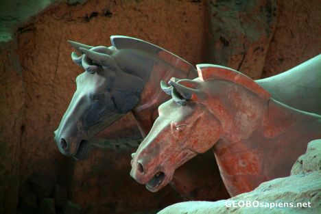 Postcard Lintong (CN) - Terracotta Army - two horses