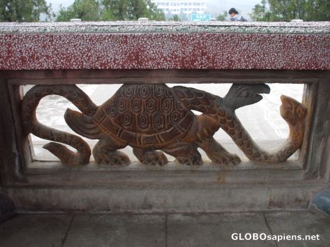 Postcard Turtle Carving