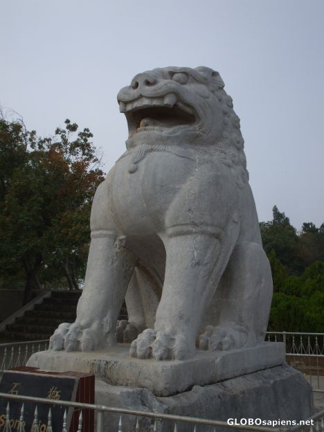 Postcard Lion Statue at Qianling Mausoleum