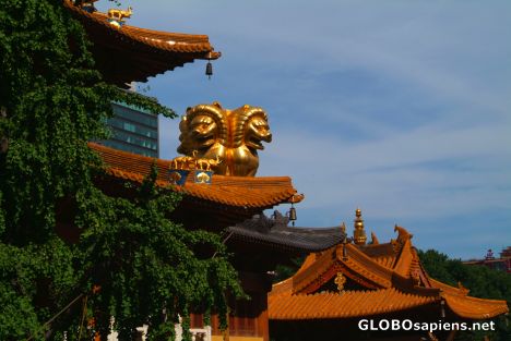 Postcard Shanghai (CN) - Jing'an Temple - faithful