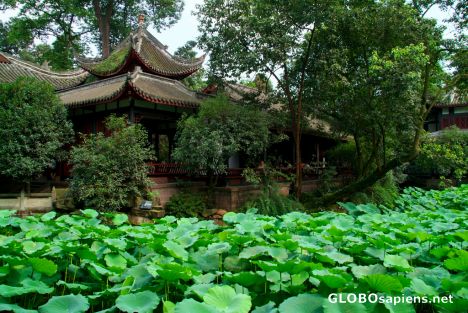 Postcard Chengdu (CN) - Wuhou Temple Park - the pond