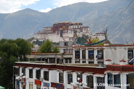 Postcard Potala Palace from the Jokhang's roof