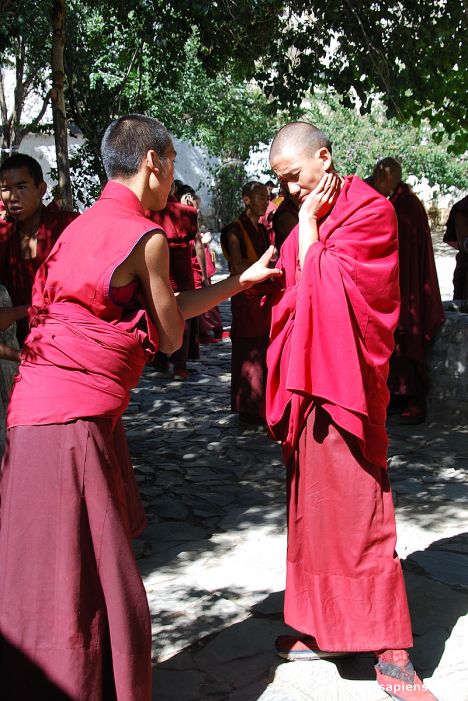 Postcard Monks debating 01