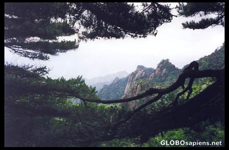 Postcard Huang Shan Mountains