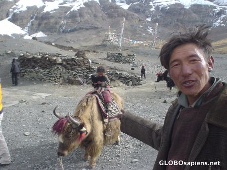 Postcard tibetan villager and the yak