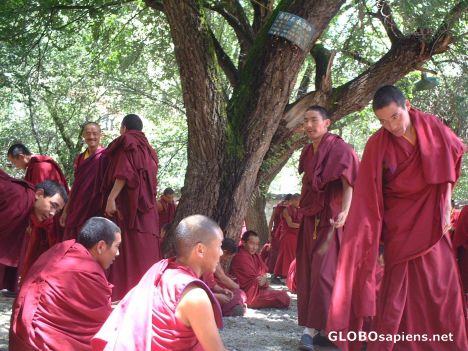 Postcard Monks debating at Sera Si