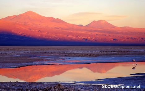 Salar the Atacama