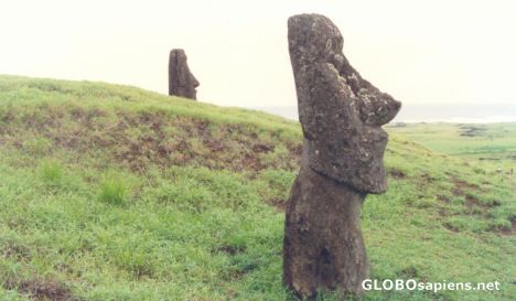 Postcard Moai in Easter Island