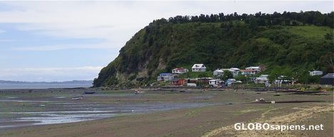 Postcard The coast of Chiloe Island