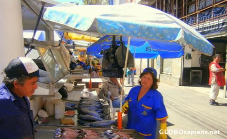 Postcard Fish market in Valparaiso