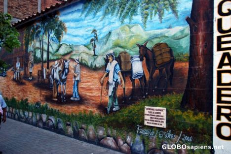 Postcard Medellin Street Art