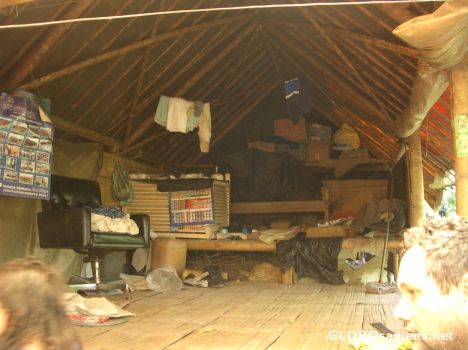 Postcard Hermits hut in the jungle
