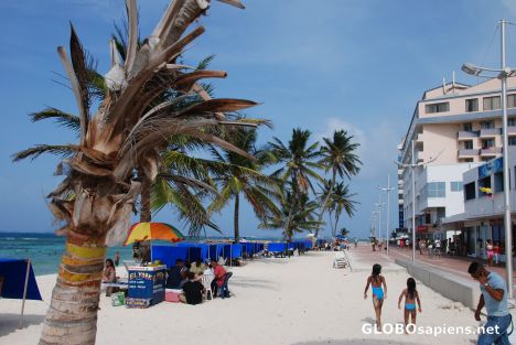 Postcard Caribbean Feelings on San Andrés