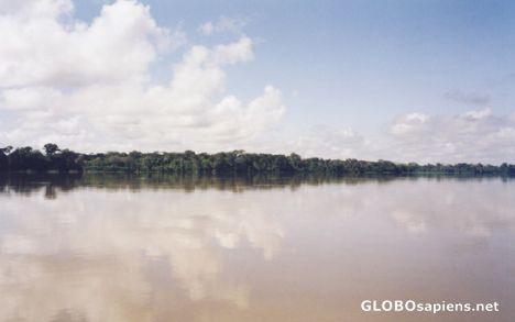 Postcard Amazones river view.