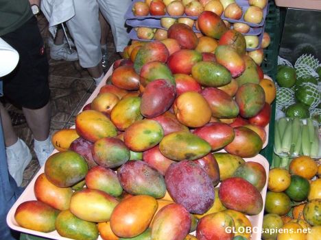 Postcard Mangoes in Market