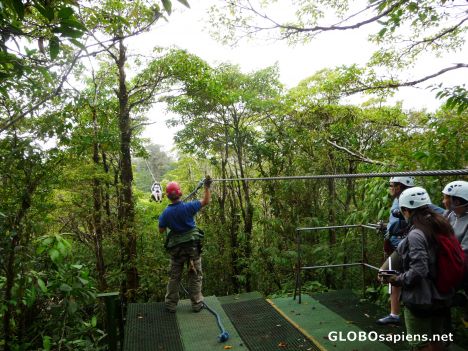 Postcard Zip Lining in the Cloud Forest