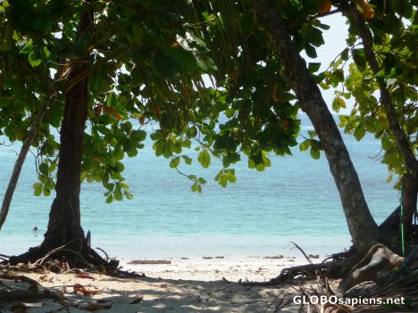 Postcard Manuel Antonio - Jungle to Beach is a short walk