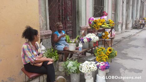 Postcard Florists from Salud Street
