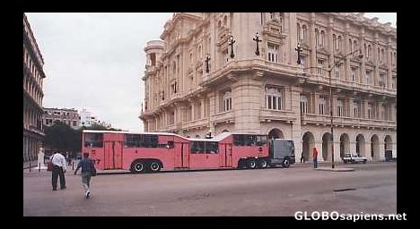 Postcard bus, the name in cuba= camelo