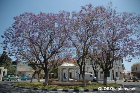 Postcard Paphos main town.